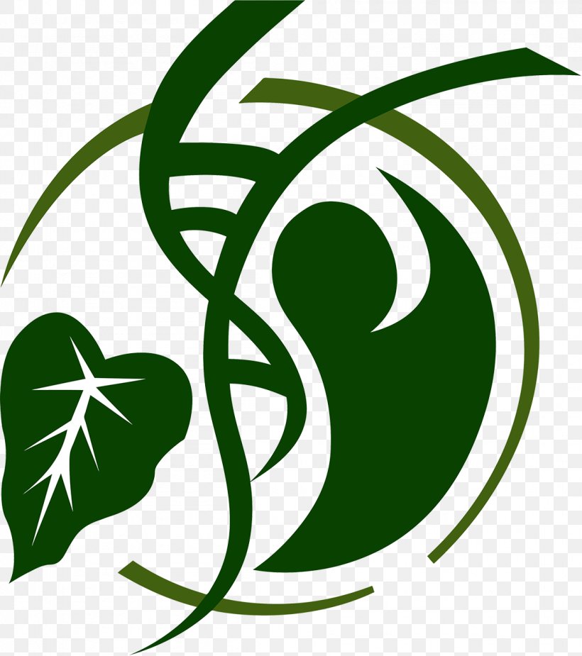 Clip Art Logo Image Symbol Hawaii, PNG, 1152x1300px, Logo, Area, Artwork, Flora, Grass Download Free