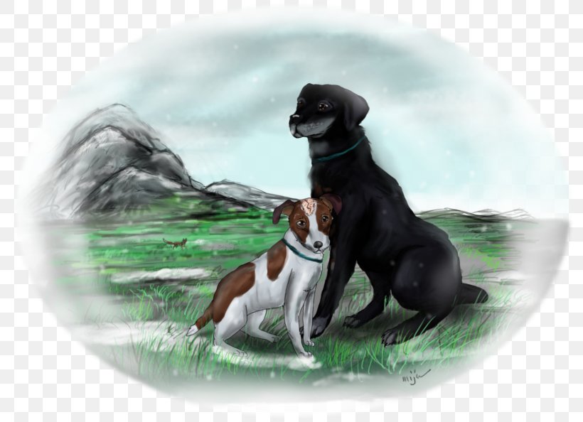 Dog Breed Rowf Breed Group (dog) Animated Film, PNG, 800x594px, Dog Breed, Animated Film, Art, Breed, Breed Group Dog Download Free