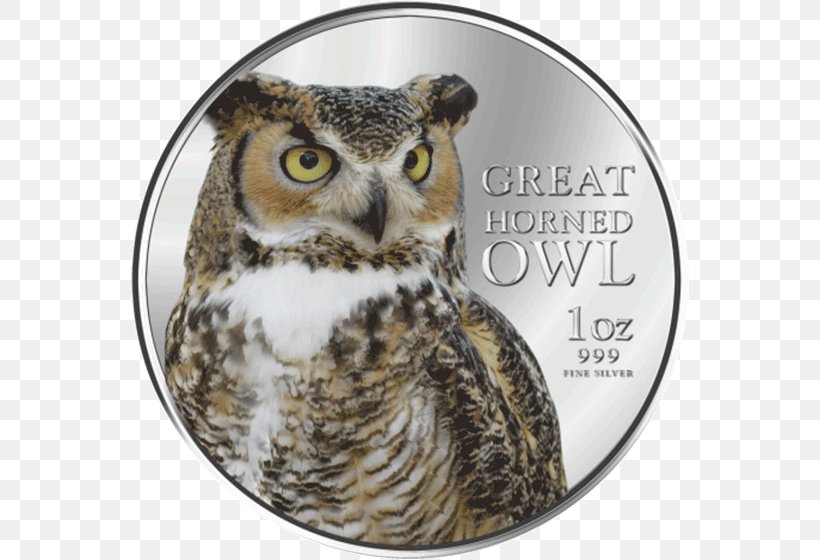 Great Horned Owl Bird Of Prey Beak, PNG, 560x560px, Owl, Animal, Beak, Bird, Bird Of Prey Download Free