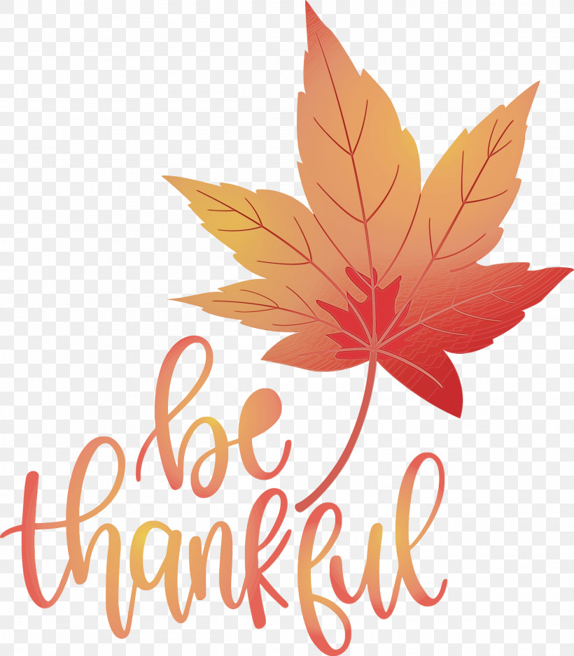 Maple Leaf, PNG, 2621x3000px, Thanksgiving, Be Thankful, Flower, Geometry, Give Thanks Download Free
