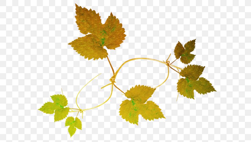 Osenniy Clip Art Grape Leaves LiveInternet, PNG, 600x466px, Osenniy, Autumn, Branch, Flower, Fruit Download Free