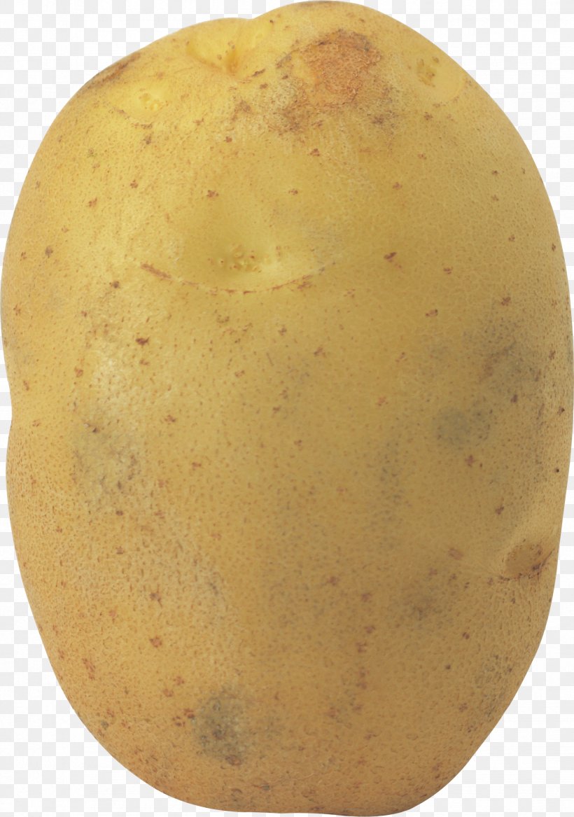 Potato Clip Art, PNG, 1696x2415px, Potato, Camera, Display Resolution, Food, Photography Download Free