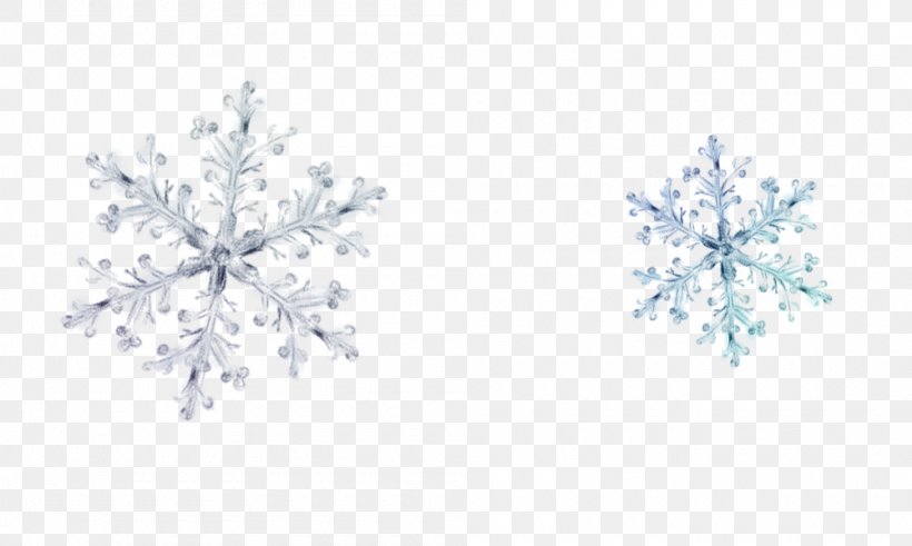 Snowflake Icon, PNG, 1000x600px, Snowflake, Blizzard, Diamond, Google Images, Jewellery Download Free