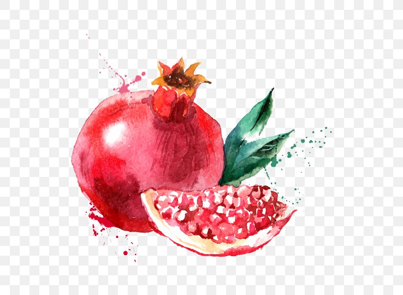 Vector Graphics Stock Photography Watercolor Painting Drawing Illustration, PNG, 600x600px, Stock Photography, Accessory Fruit, Apple, Christmas Ornament, Cranberry Download Free