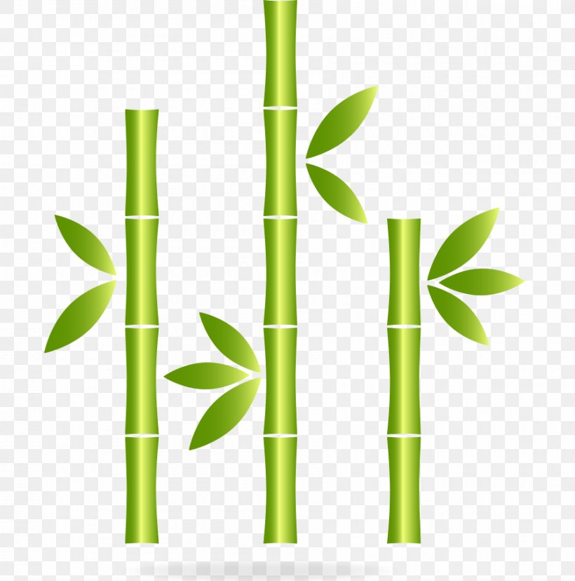 Bamboo Green Icon, PNG, 900x909px, Bamboo, Bamboe, Color, Grass, Grass Family Download Free