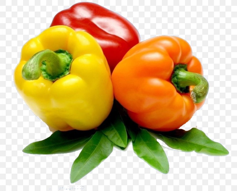 Bell Pepper Chili Pepper Jalapexf1o Serrano Pepper Vegetable, PNG, 1024x825px, Bell Pepper, Bell Peppers And Chili Peppers, Black Pepper, Capsicum, Capsicum Annuum Download Free