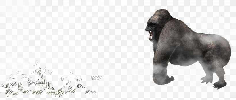 Gorilla Common Chimpanzee Icon, PNG, 8400x3564px, Gorilla, Black And White, Carnivoran, Chimpanzee, Common Chimpanzee Download Free