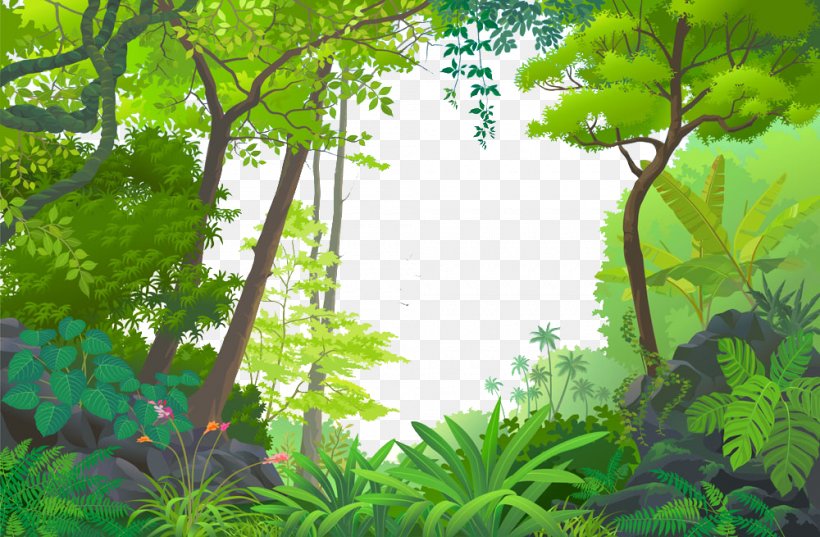 Jungle Euclidean Vector Tropical Rainforest, PNG, 1000x655px, Amazon Rainforest, Biome, Branch, Ecosystem, Flora Download Free