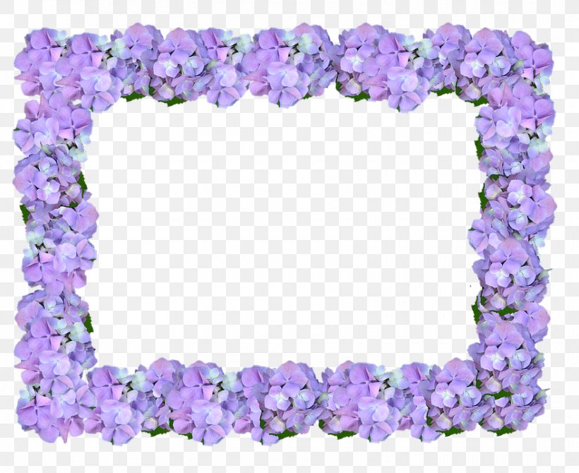 Lei Jewellery Petal, PNG, 880x720px, Lei, Amethyst, Body Jewelry, Flower, Jewellery Download Free