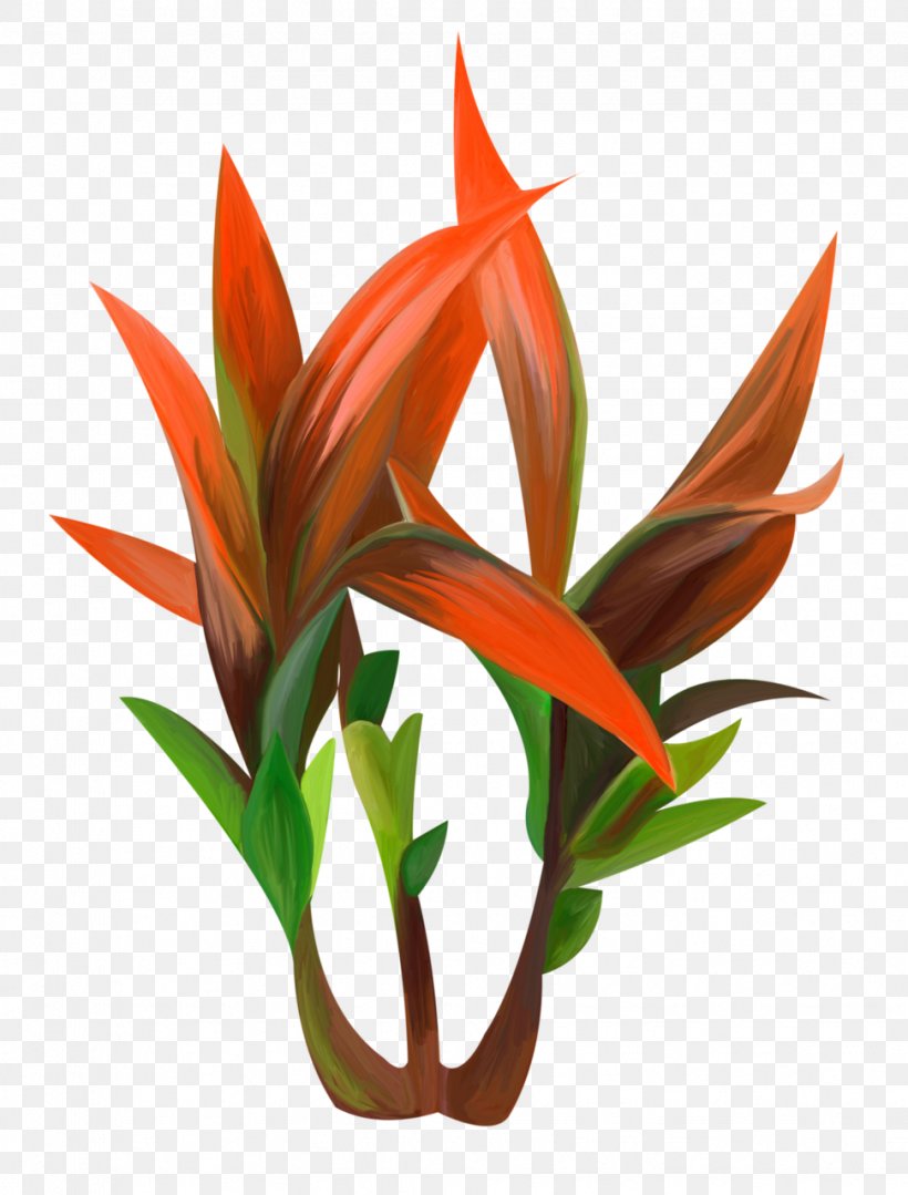 Agave Plant Red, PNG, 972x1280px, Agave, Aquarium Decor, Color, Flower, Flowerpot Download Free