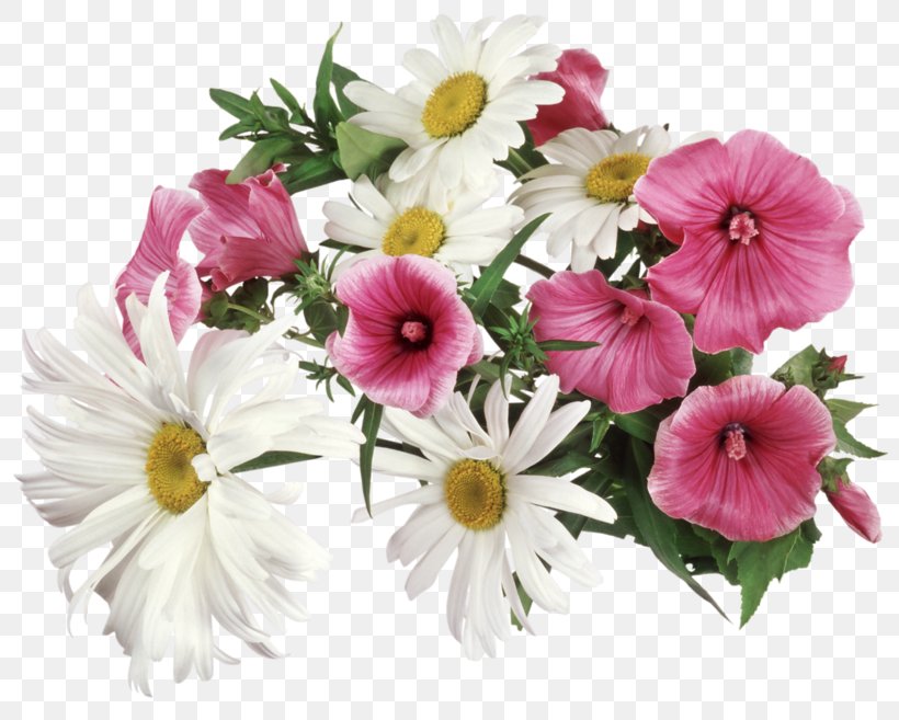 Animation Flower, PNG, 800x657px, Animation, Annual Plant, Artificial Flower, Blog, Cut Flowers Download Free