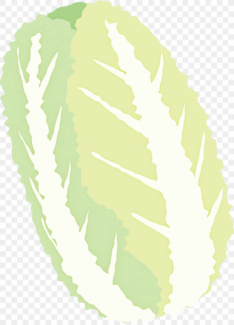 Nappa Cabbage, PNG, 2161x3000px, Nappa Cabbage, Feather, Green, Leaf, Plant Download Free