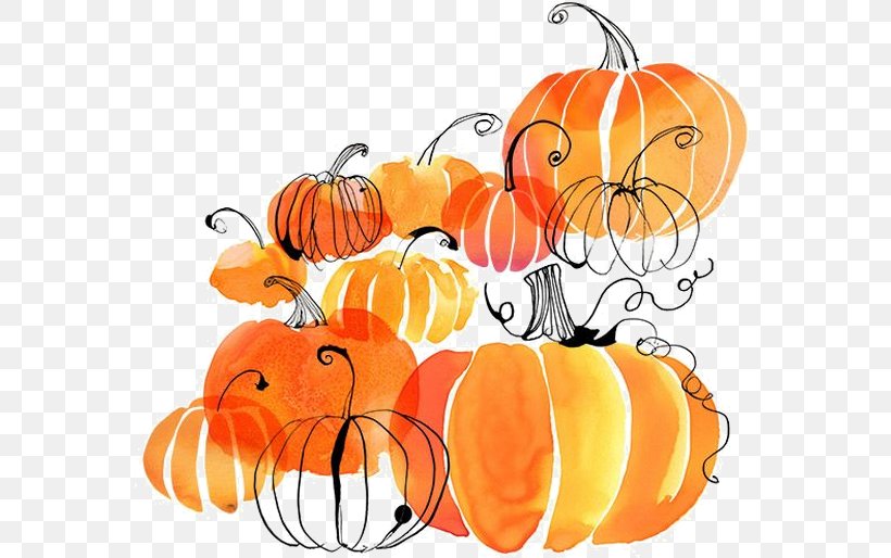 Pumpkin Watercolor Painting Apple Cider Clip Art, PNG, 571x514px, Pumpkin, Apple, Apple Cider, Art, Artwork Download Free