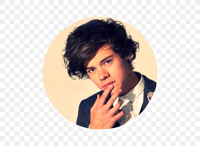 Harry Styles The X Factor One Direction Photo Shoot, PNG, 800x600px, Watercolor, Cartoon, Flower, Frame, Heart Download Free