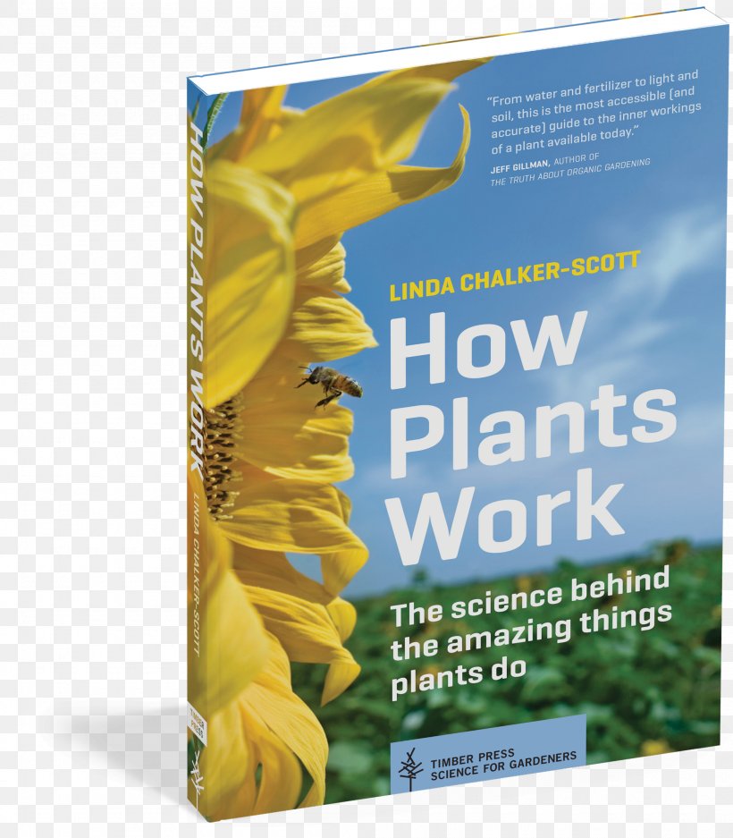 How Plants Work: The Science Behind The Amazing Things Plants Do Book Paperback, PNG, 2100x2400px, Plant, Advertising, Barnes Noble, Book, Botanical Garden Download Free