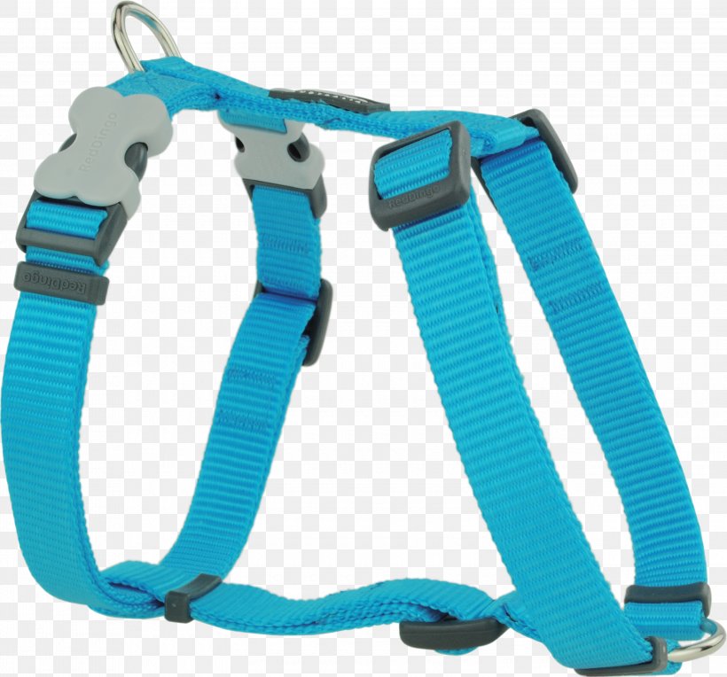 Leash Dingo Beagle Horse Harnesses, PNG, 3000x2797px, Leash, Aqua, Beagle, Blue, Cat Download Free