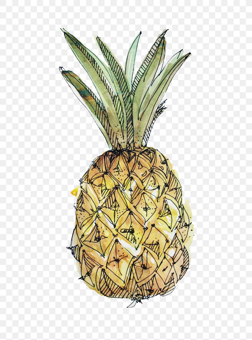 Paper Pineapple Drawing Watercolor Painting Illustration, PNG, 736x1104px, Paper, Ananas, Art, Behance, Bromeliaceae Download Free