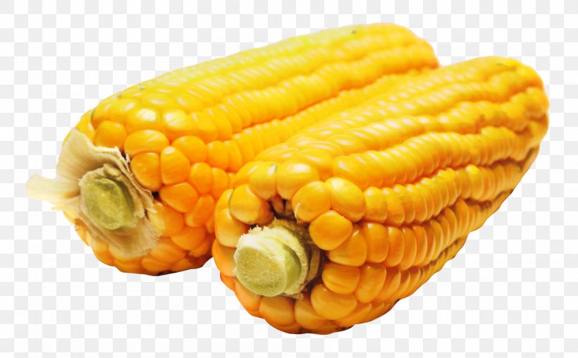 Popcorn Cartoon, PNG, 1793x1112px, Corn On The Cob, Corn, Corn Flakes, Corn Kernel, Corn Kernels Download Free