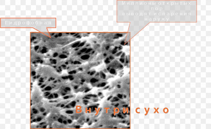 Cell Membrane Hidrofobie Polytetrafluoroethylene Clothing, PNG, 1124x686px, Cell Membrane, Clothing, Evaporation, Game, Hidrofobie Download Free