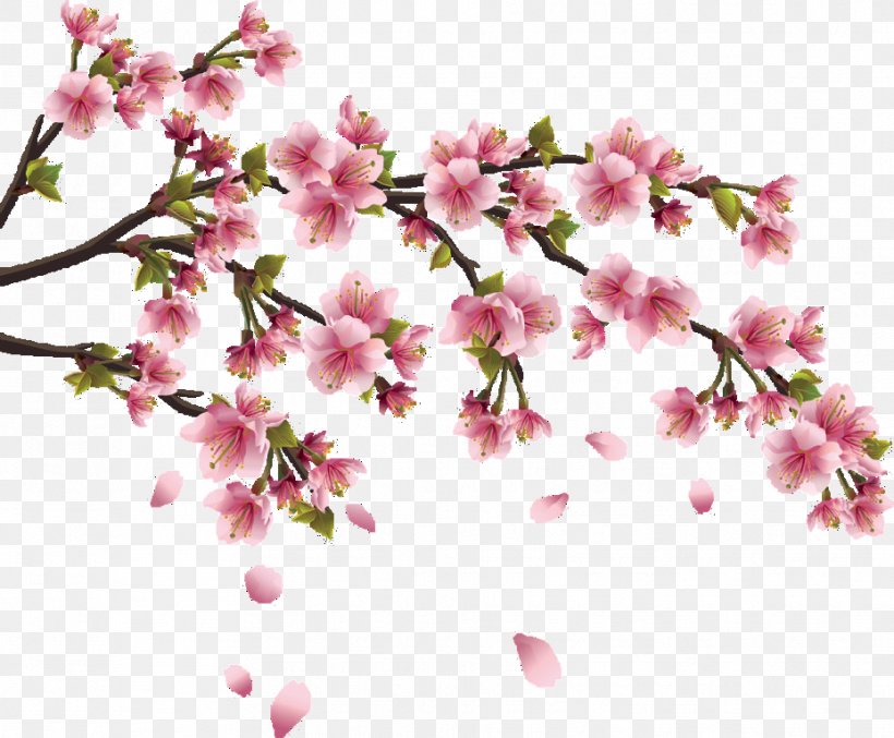 Cherry Blossom Wall Decal Sticker, PNG, 929x768px, Cherry Blossom, Blossom, Branch, Cherry, Decal Download Free
