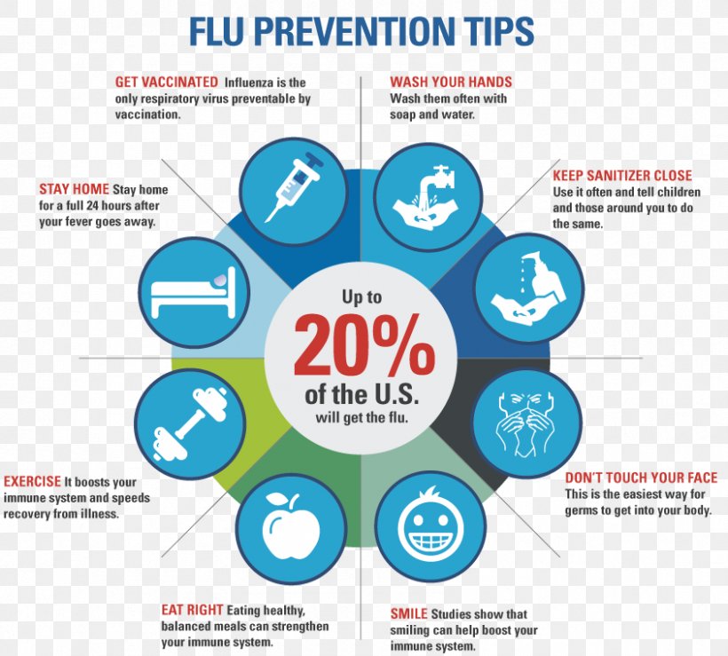 Centers For Disease Control And Prevention Influenza Vaccine Preventive Healthcare Flu Season, PNG, 843x760px, Influenza, Antiviral Drug, Area, Brand, Common Cold Download Free