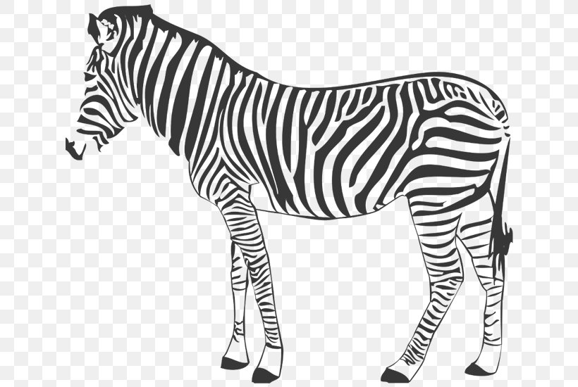 Quagga Mountain Zebra Horse Photography, PNG, 800x550px, Quagga, Animal, Animal Figure, Animal Figurine, Big Cats Download Free