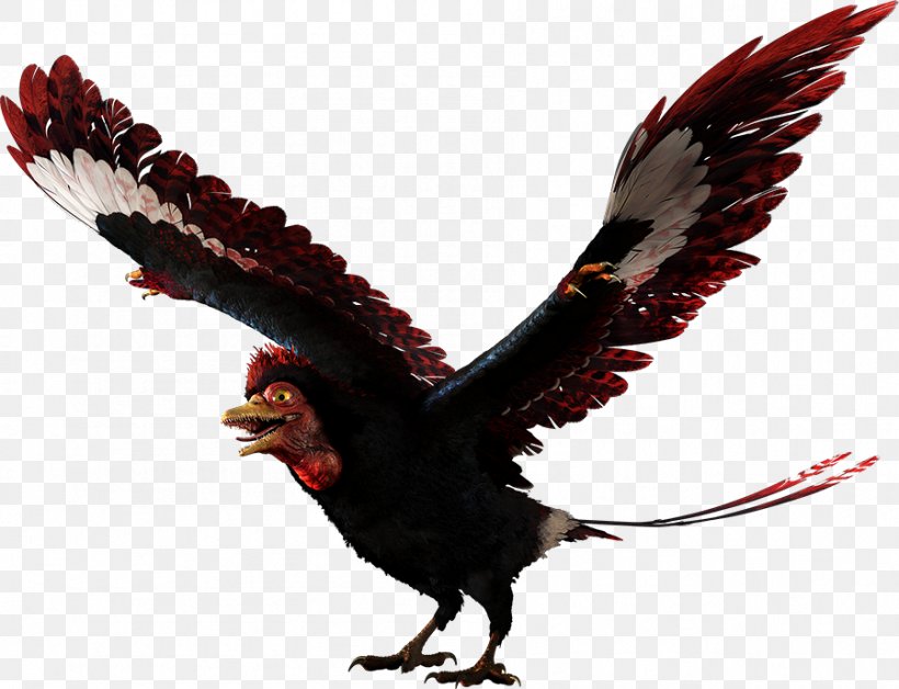 Bird Wing, PNG, 899x689px, Alexornis, Alphadon, Beak, Bird, Chicken Download Free
