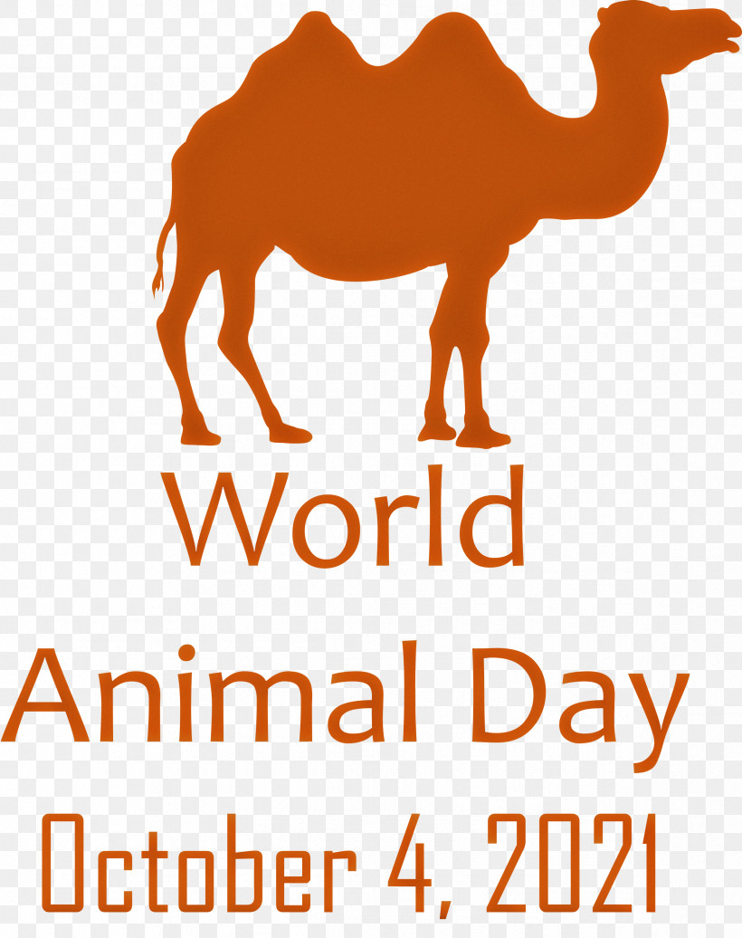 World Animal Day Animal Day, PNG, 2374x3000px, World Animal Day, Animal Day, Camels, Dromedary, Geometry Download Free