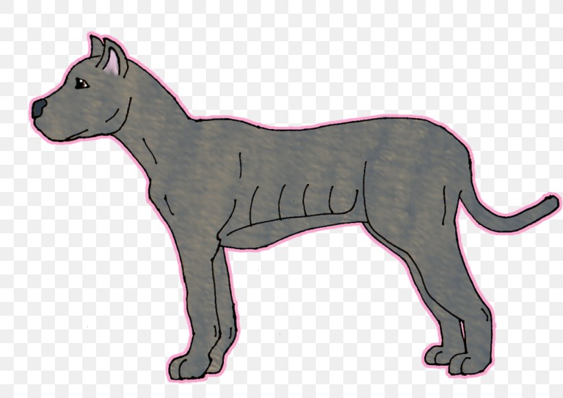 Cane Corso Dog Breed English Mastiff Whiskers Cat, PNG, 1024x725px, Cane Corso, Animal Figure, Big Cats, Breed, Carnivoran Download Free