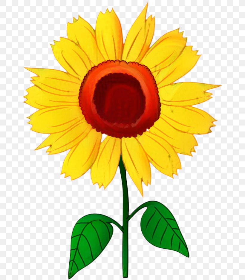 Clip Art Image Vector Graphics Cartoon, PNG, 679x937px, Cartoon, Animation, Annual Plant, Asterales, Common Sunflower Download Free