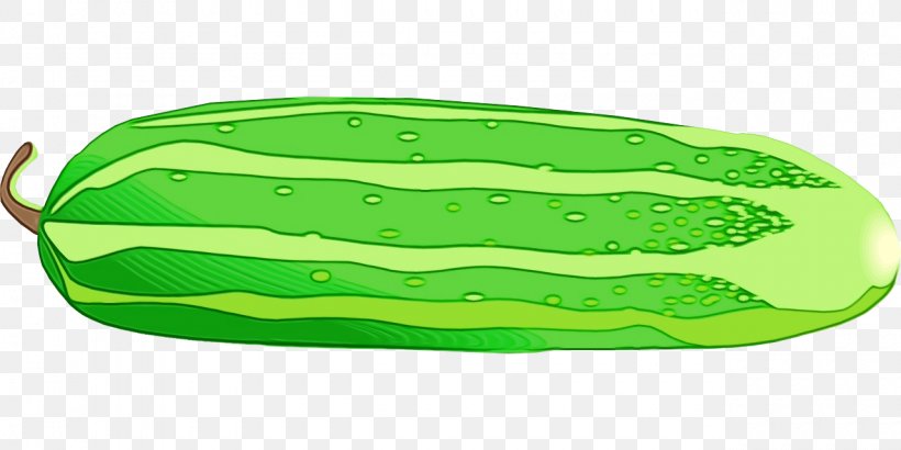 Green Plant Vegetable Cucumber, PNG, 1280x640px, Watercolor, Cucumber, Green, Paint, Plant Download Free