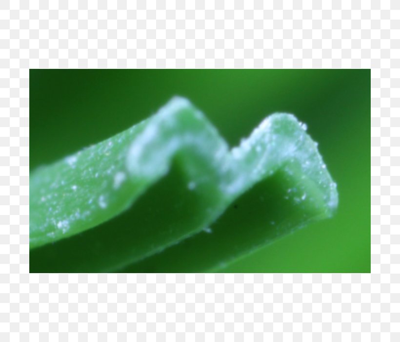 Green Water Close-up, PNG, 700x700px, Green, Closeup, Macro Photography, Water Download Free