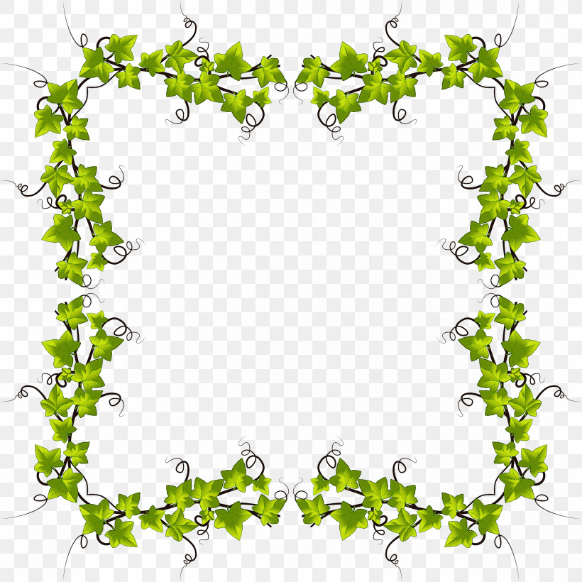 Ivy, PNG, 2332x2332px, Green, Flower, Ivy, Ivy Family, Leaf Download Free