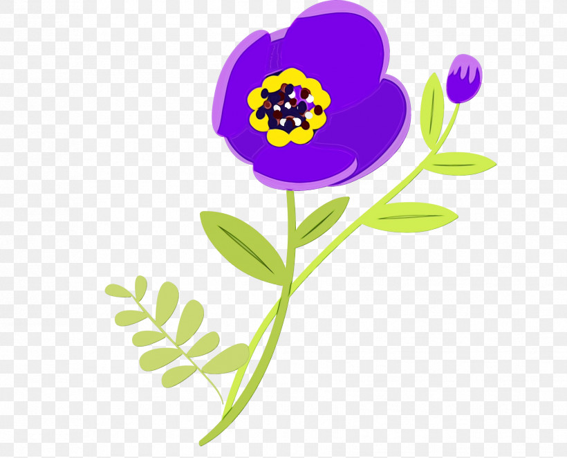 Plant Stem Cut Flowers Herbaceous Plant Violet Flower, PNG, 1782x1440px, Watercolor, Biology, Cut Flowers, Flower, Herbaceous Plant Download Free