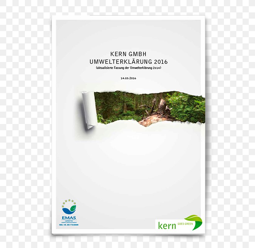 Briefbogen à La Carte Eco-Management And Audit Scheme 0 Umwelterklärung First Aid Supplies, PNG, 620x800px, 2018, Ecomanagement And Audit Scheme, Betrieb, Brand, Environmental Resource Management Download Free