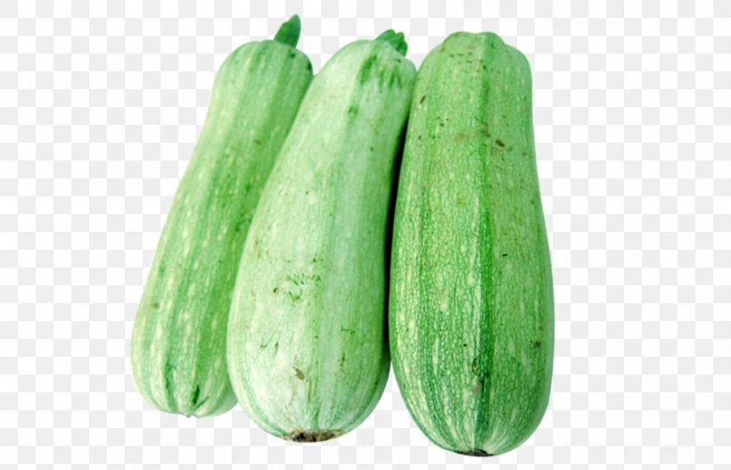 Cucumber Calabaza Vegetable Wax Gourd, PNG, 894x575px, Cucumber, Calabash, Calabaza, Cucumber Gourd And Melon Family, Cucumis Download Free