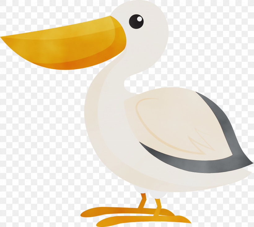 Duck Beak Seabird, PNG, 3000x2691px, Bird, Beak, Cartoon Bird, Cute Bird, Duck Download Free