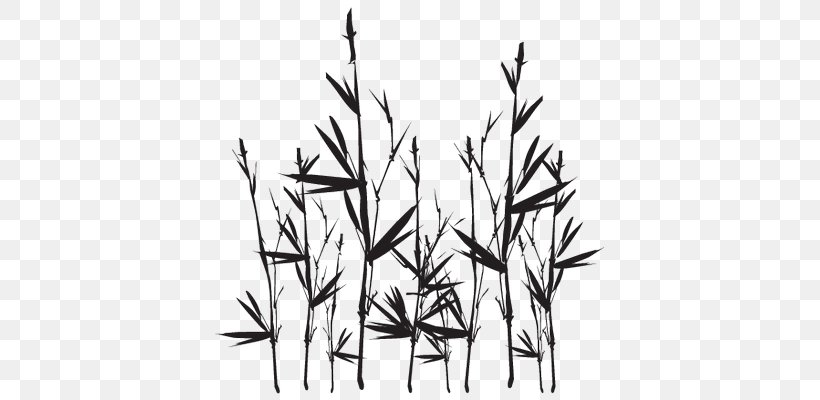 Line Art Tropical Woody Bamboos Silhouette, PNG, 645x400px, Line Art, Black And White, Branch, Commodity, Drawing Download Free