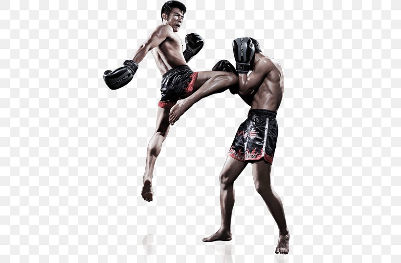 Muay Thai Kickboxing Mixed Martial Arts, PNG, 534x537px, Muay Thai, Aggression, Boxing, Boxing Equipment, Boxing Glove Download Free