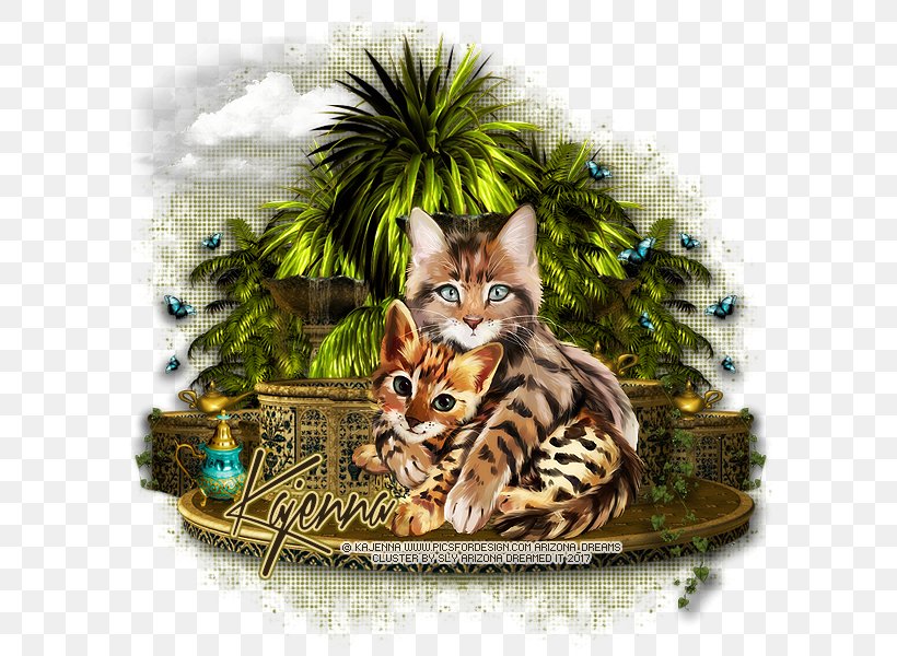 Bengal Cat Toyger Kitten Tabby Cat Wildcat, PNG, 600x600px, Bengal Cat, Bengal, Carnivoran, Cat, Cat Like Mammal Download Free