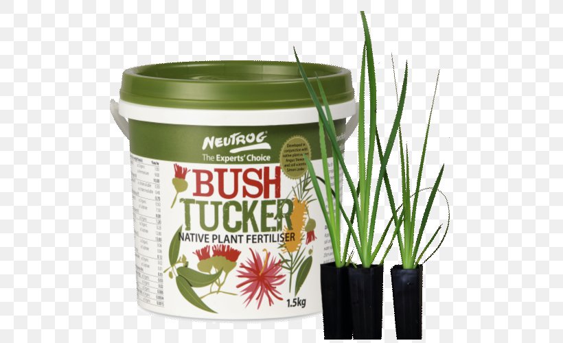 Bush Tucker Wight & Emmett Grasses Plant Flowerpot, PNG, 500x500px, Bush Tucker, Australia, Bush, City Of Bunbury, Fertilisers Download Free