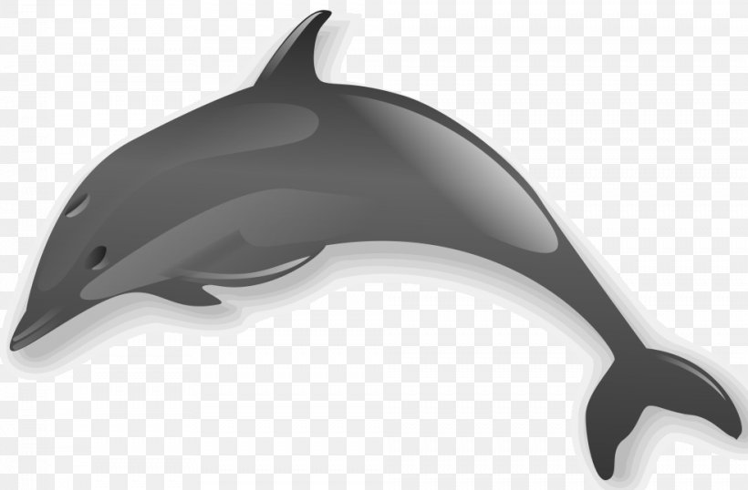 Common Bottlenose Dolphin Wholphin Clip Art, PNG, 984x646px, Common Bottlenose Dolphin, Bottlenose Dolphin, Cetacea, Dolphin, Mammal Download Free