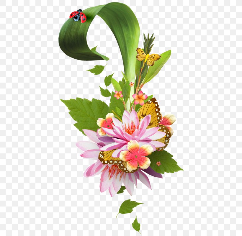 Floral Design Photography Clip Art, PNG, 438x800px, Floral Design, Alstroemeriaceae, Annual Plant, Blog, Cut Flowers Download Free
