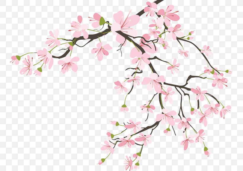 Flower Petal Cherry Blossom Floral Design Leaf, PNG, 754x579px, Flower, Avatar, Blossom, Branch, Cherry Blossom Download Free