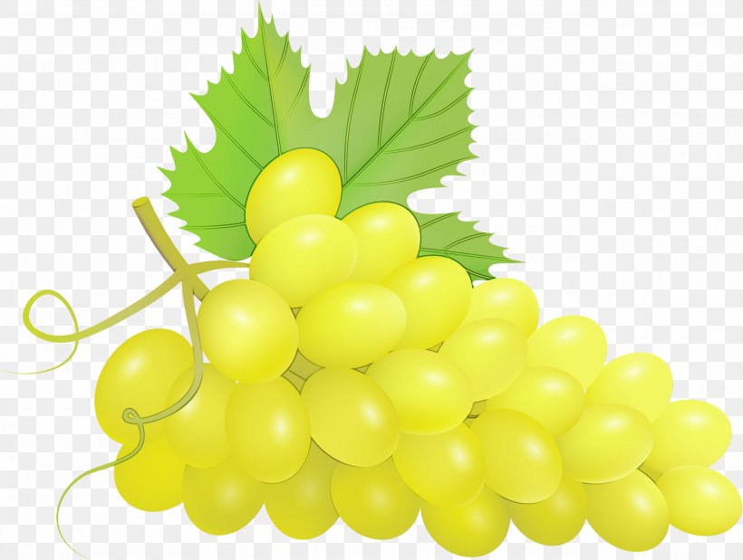Grape Seedless Fruit Grapevine Family Fruit Natural Foods, PNG, 2560x1934px, Watercolor, Fruit, Grape, Grape Leaves, Grapevine Family Download Free