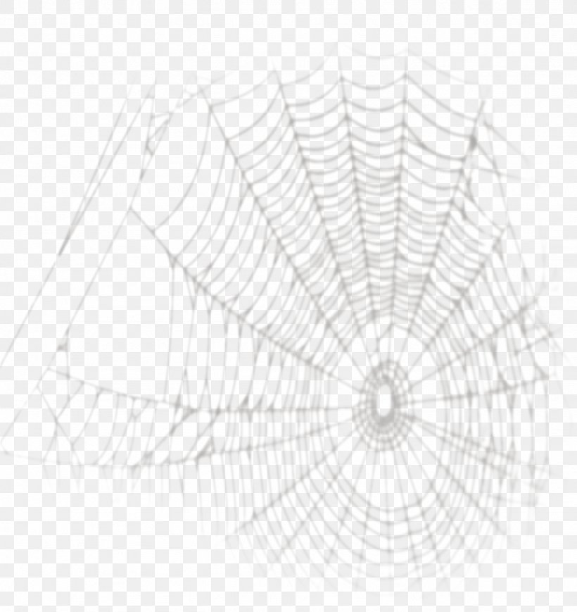 Spider Web Drawing, PNG, 1436x1522px, Spider, Black And White, Cartoon, Copyright, Drawing Download Free