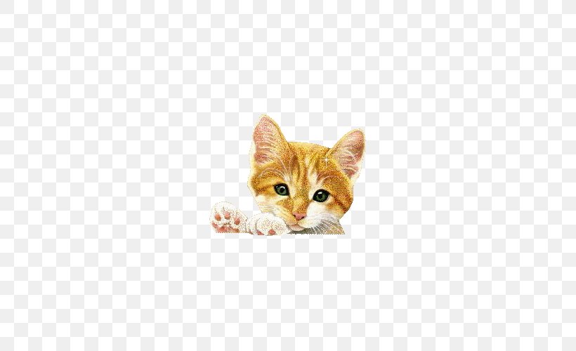 Gfycat Animation Clip Art, PNG, 500x500px, Cat, Animation, Blingee, Blog, Carnivoran Download Free