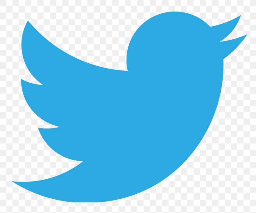 Logo Social Media, PNG, 1082x902px, Logo, Aqua, Azure, Beak, Bird Download Free