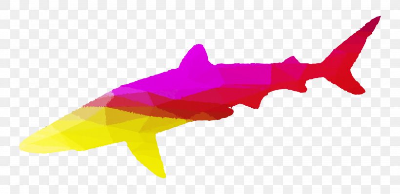 Shark Pink M Marine Mammal Silhouette, PNG, 3500x1700px, Shark, Fin, Fish, Magenta, Mammal Download Free