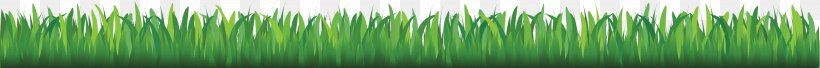 Wheatgrass Angle Close-up Pattern, PNG, 3001x249px, Wheatgrass, Closeup, Grass, Grass Family, Green Download Free